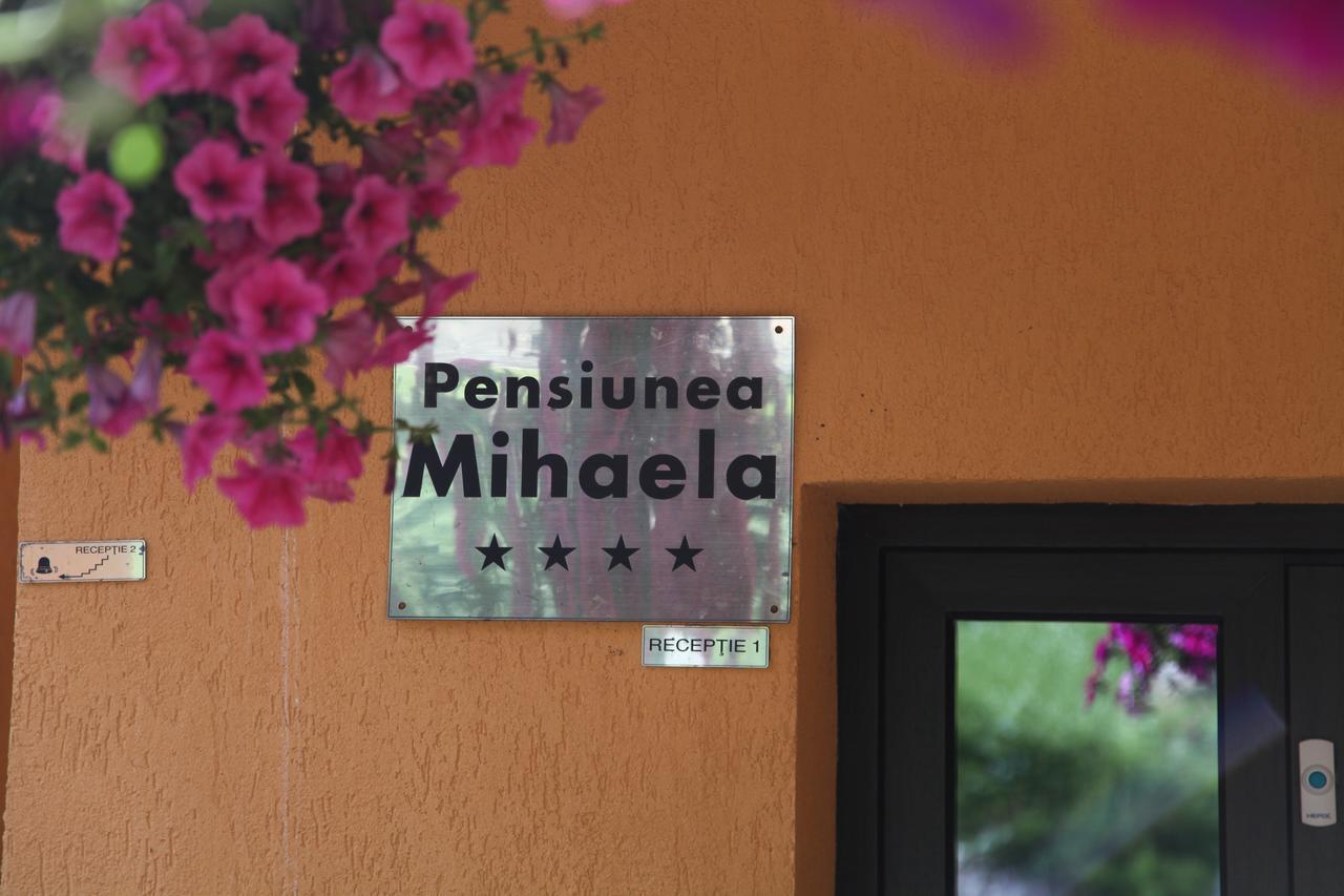 Pensiunea Mihaela Poiana Brasov Exterior foto
